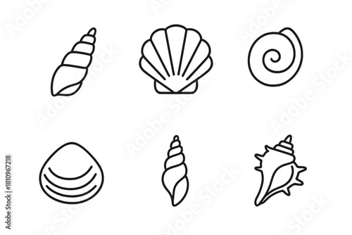 Six distinct black outline icons of various sea shells on white background