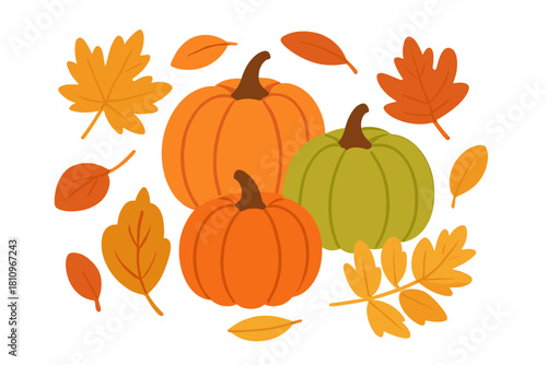 Assortment of pumpkins and colorful autumn leaves for harvest season