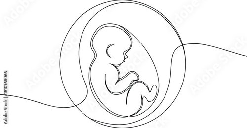 Single line drawing of a fetus in a womb pregnancy