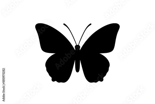 Elegant black butterfly silhouette with detailed antennae and perfectly symmetrical wings