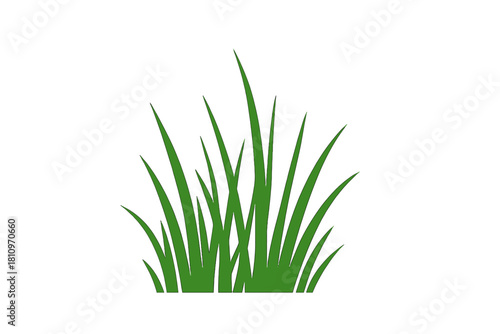 Lush green blades of grass forming a small patch isolated against a clean white backdrop