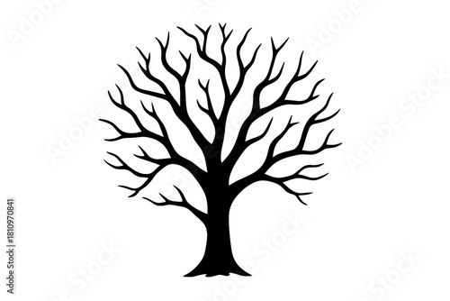 Stylized black silhouette of a bare deciduous tree with intricate branches on a white background