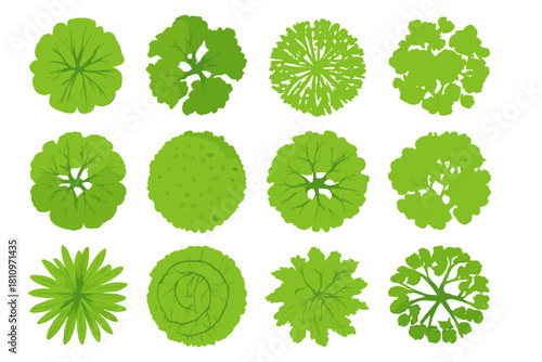 Diverse green trees and plants viewed from above for landscape design elements