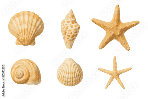 Collection of various beige seashells and starfish marine elements isolated on white background