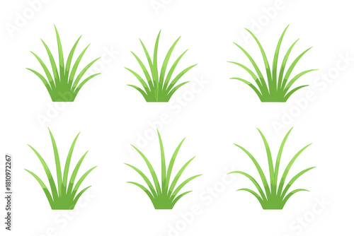 Collection of six fresh green grass tufts or bushes isolated on a clean white background