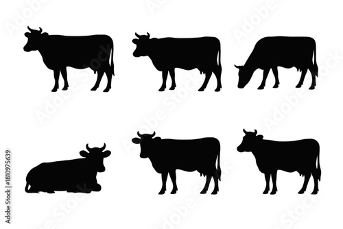 Six black cow silhouettes showing various poses and positions