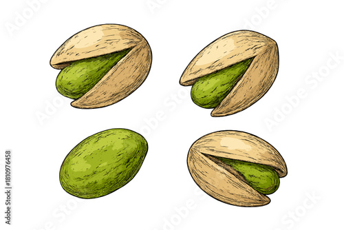 Assortment of pistachio nuts in shell and shelled kernel pieces