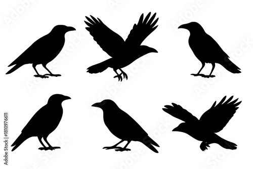 Six black crow or raven bird silhouettes in various flying and standing poses