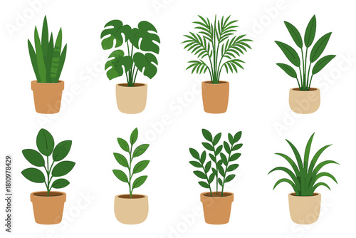 Eight different potted house plants in terracotta and beige containers