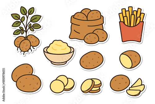 Potato icons showing raw, cooked, and processed food forms