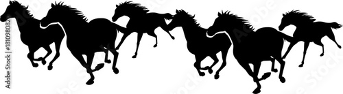 vector illustration of a silhouette of a woman