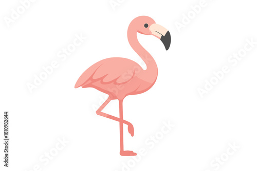 Vibrant pink flamingo bird standing gracefully on one leg isolated against a clean white background