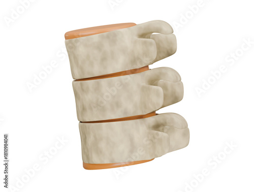 intervertebral discs icon 3d illustration render
