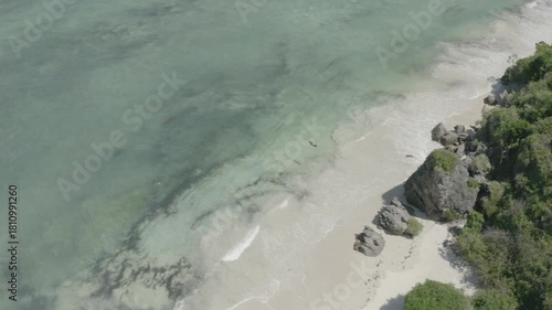 Wallpaper Mural Aerial drone shot tracking of a Bird of Predator off the coast of Kenya beach line. Torontodigital.ca