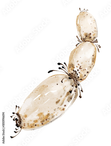 Watercolor illustration of connected lotus roots