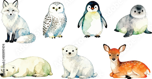 Arctic Animals Watercolor Pack, Polar Bear, Fox, Snowy Owl, Penguin and Winter Wildlife Illustrations