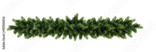 Christmas garland pine branches isolated on white background	