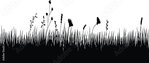 Silhouette of grass and wildflowers, black nature border, meadow plants, vector illustration isolated on white background