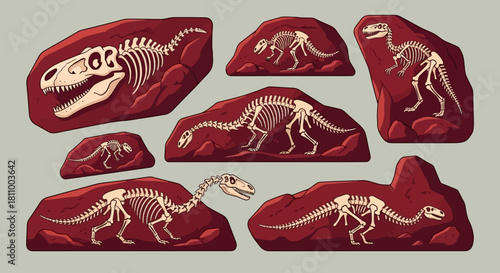 Ancient Fossils Dinosaur Skeletons Set in Stone, Prehistoric Era