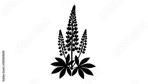 Stylized lupine flower silhouette vector graphic. Minimalist botanical illustration of a wildflower plant with leaves for logo or design