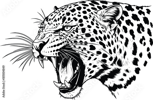 Black and White Detailed Leopard Head Snarling Vector Engraving Illustration with Open Mouth, Fangs, and Spots for Fierce Wildlife Art