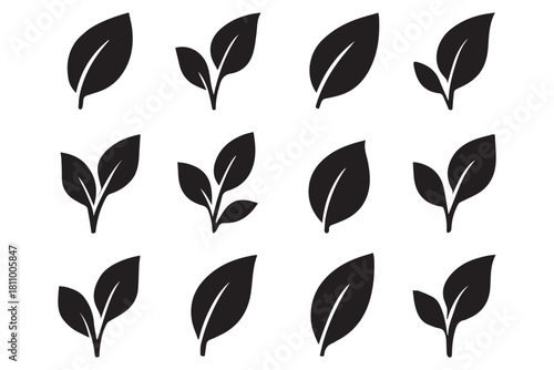 Green leaf icons set. Leaves icon on transparent background. Collection green leaf. Elements design for natural, eco, vegan, bio labels.