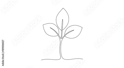 Vector illustration of minimalist line drawing of a growing plant