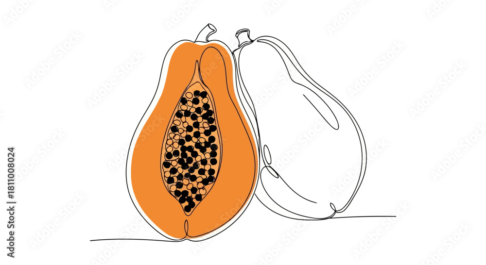 Fototapeta premium Vector illustration of papaya fruit in continuous line drawing style isolated on