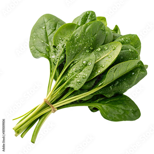 Fresh green leaves isolated on a transparent background
