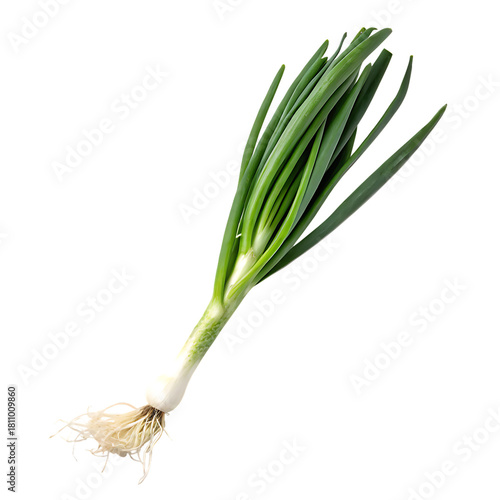 Onion isolated on a transparent background
