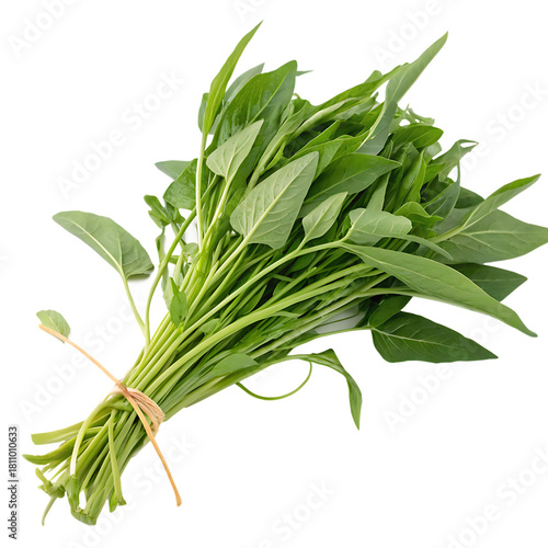 Fresh herbs isolated on a transparent background
