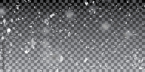 Snow blizzard, vector snow background. Snow png. Snowflakes, snowfall. White snowflakes fly in the air. Snow flakes.