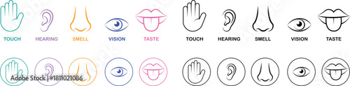 Five senses icon set collection group with touch hand, hearing ear, smell nose, vision eye, taste mouth symbols in flat and line style outline minimal vector design on transparent background