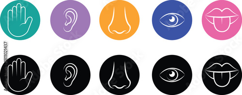 Five senses icon set collection group with touch hand, hearing ear, smell nose, vision eye, taste mouth symbols in flat and line style outline minimal vector design on transparent background