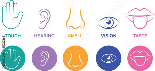 Five senses icon set collection group with touch hand, hearing ear, smell nose, vision eye, taste mouth symbols in flat and line style outline minimal vector design on transparent background