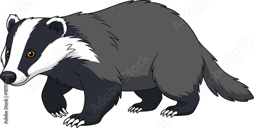 Cute cartoon badger illustration, woodland wildlife animal drawing, adorable forest creature artwork for children, educational nature graphic, wild mammal design