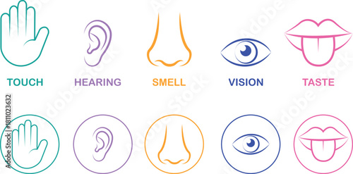 Five senses icon set collection group with touch hand, hearing ear, smell nose, vision eye, taste mouth symbols in flat and line style outline minimal vector design on transparent background