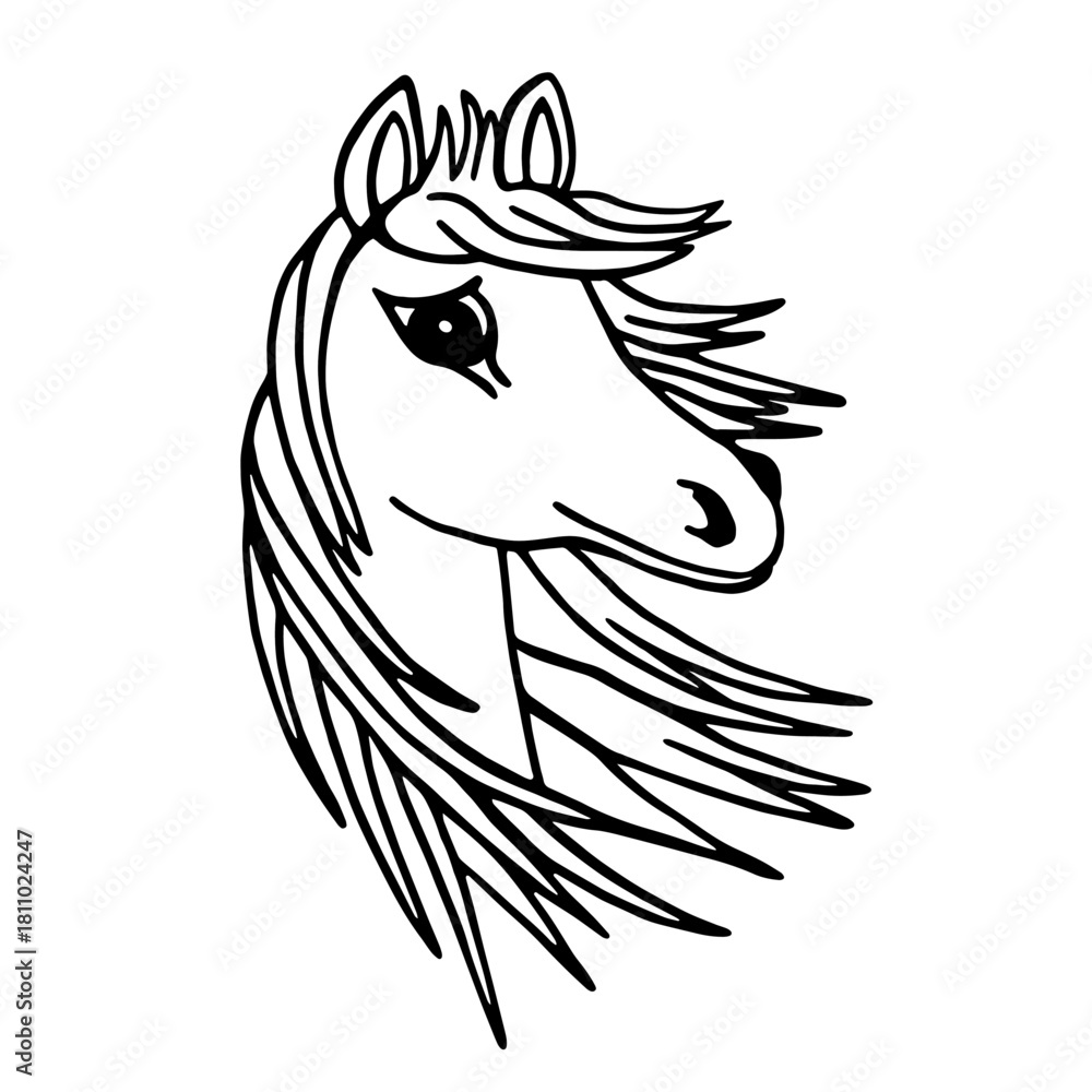 Fototapeta premium Vector sketch of a horse portrait. Black and white outline of a horse's head in doodle style.