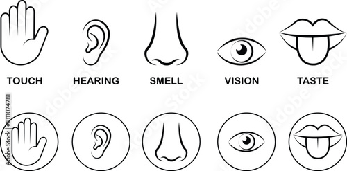 Five senses icon set collection group, black flat and line style outline symbols for touch hearing smell vision taste, sensory perception icons bundle pack, transparent background illustration