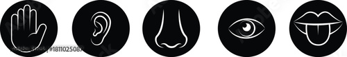 Five senses icon set collection group, black flat and line style outline symbols for touch hearing smell vision taste, sensory perception icons bundle pack, transparent background illustration