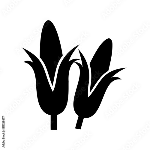Black silhouette icon showing two corn cobs with husks Vector
