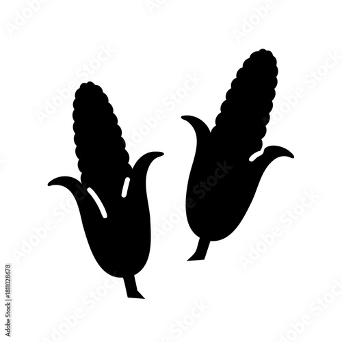 Two black corn cobs with husks on a white background Vector