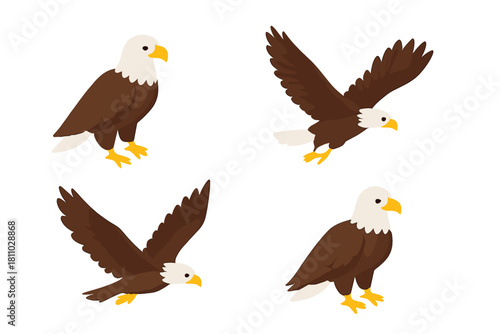 Bald eagle characters set, flying and standing poses, isolated wildlife