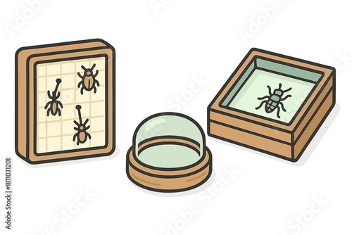 Set of entomology tools for insect collection and observation