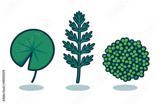 Set of stylized icons depicting various aquatic plant leaves and submerged growth