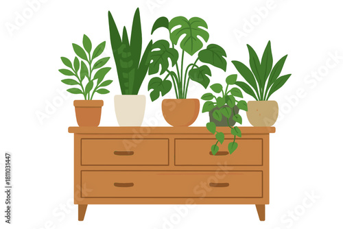 Various green potted plants arranged on a wooden chest of drawers
