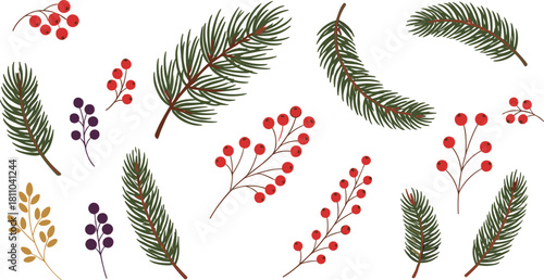 Christmas pine tree branches and winter berries vector illustration set, various fir needles and holly clusters in flat cartoon style for seasonal greeting cards, border, decoration, and holiday des