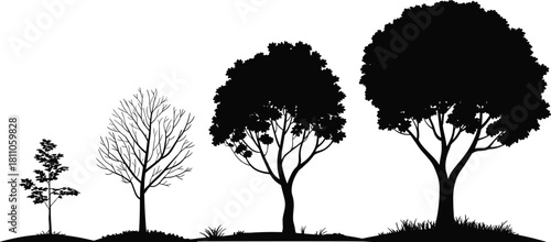PrintStylized Black Silhouette of Four Trees Displaying Stages of Growth, from Sapling to Mature Tree, Representing Life Cycle, Maturity, Evolution, and Natural Development Vector.