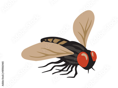House Fly Clip Art Illustration
