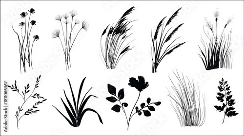 Black and white modern illustration consisting of a collection of grass silhouettes